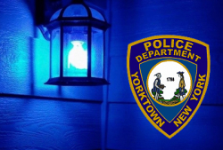 YPD Blue Porch Light