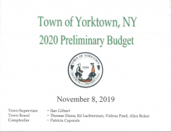 2020 Preliminary Budget