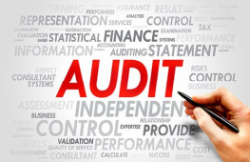 AUDIT REPORTS