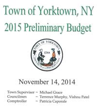 2015 Preliminary Budget