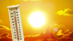 Summer Heat