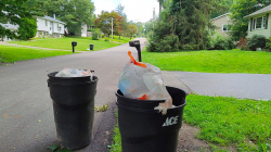 Uncollected Garbage