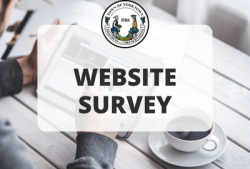 Town Website Survey