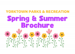 Spring/Summer Brochure