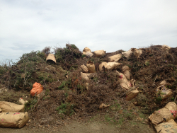Organic Yard Waste Facility
