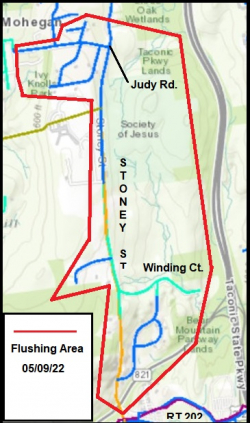 Flushing Area 05/09/22